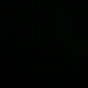 Meet your Posher, Kalvin